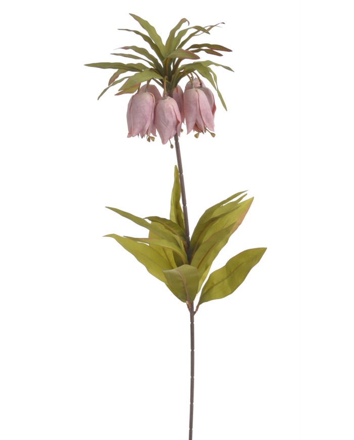 Szachownica cesarska..77cm..60-12 pcs