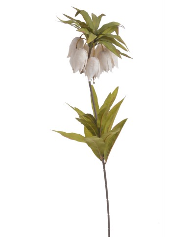 Szachownica cesarska..77cm..60-12 pcs