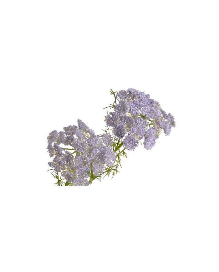 Koper..87cm..144-12 pcs - sztuczna roślina