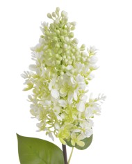 Lilak ... - sztuczna roślina...61cm..336-24 pcs