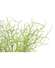 Sztuczna roślina..52cm..288-48 pcs......04 D WHITE GREEN