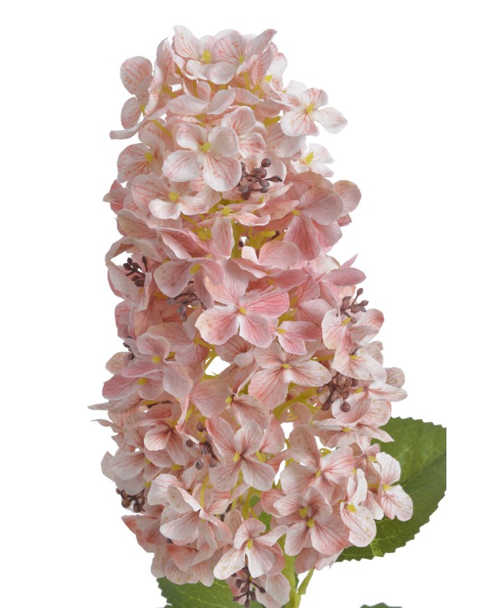 Hortensja x1..82cm..96-12 pcs