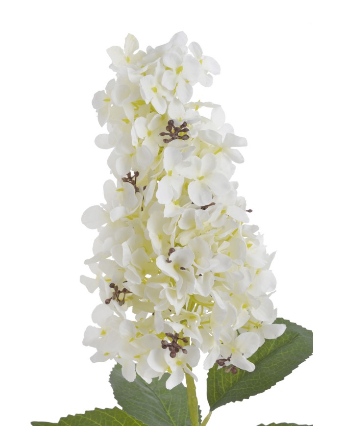 Hortensja x1..82cm..96-12 pcs