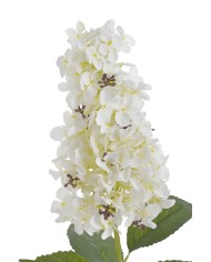 Hortensja x1..82cm..96-12 pcs