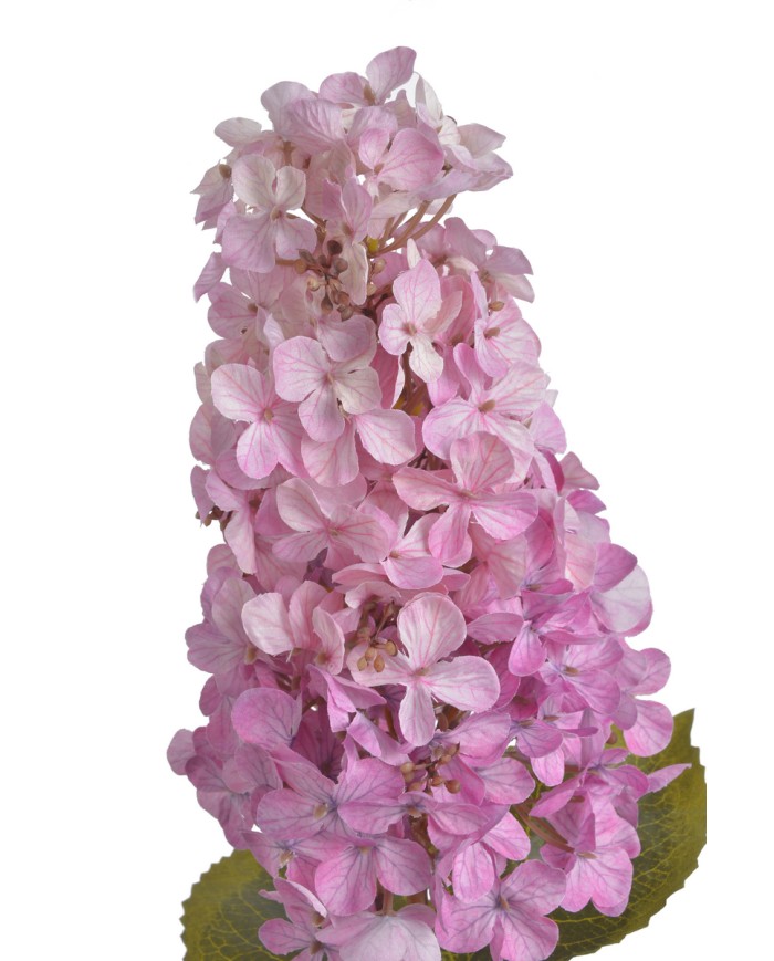 Hortensja x1..82cm..96-12 pcs