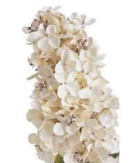 Hortensja x1..82cm..96-12 pcs