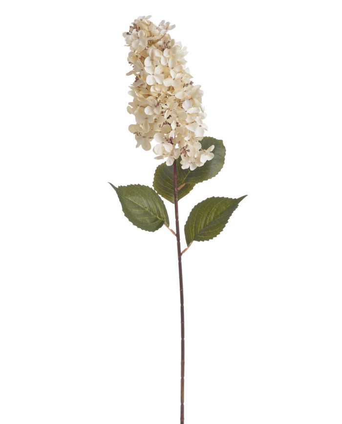 Hortensja x1..82cm..96-12 pcs