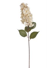 Hortensja x1..82cm..96-12 pcs