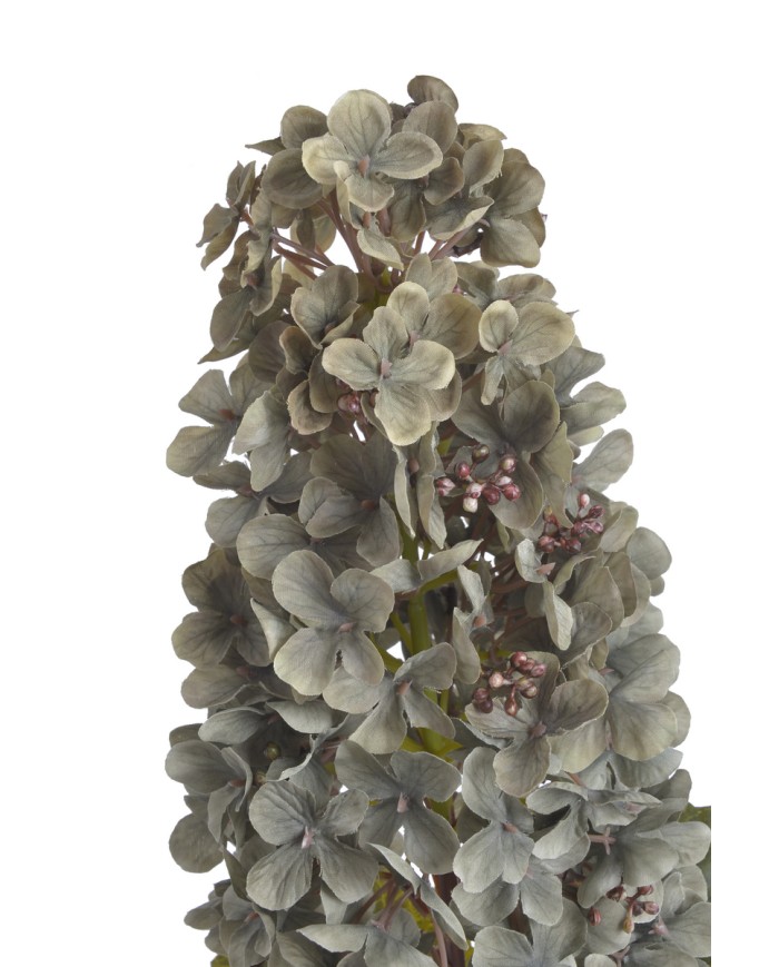 Hortensja x1..82cm..96-12 pcs