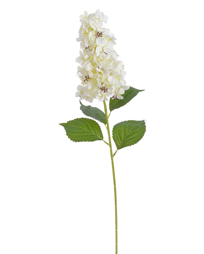 Hortensja x1..82cm..96-12 pcs