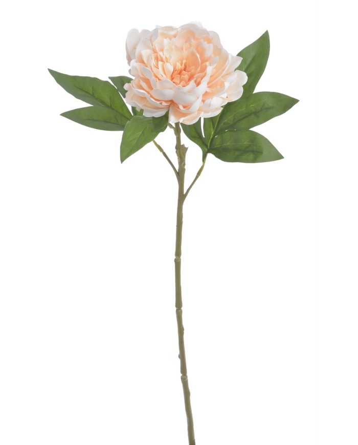 Piwonia real touch RT x1..58cm..216-12 pcs