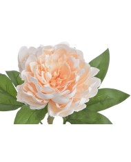 Piwonia real touch RT x1..58cm..216-12 pcs