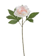 Piwonia real touch RT x1..58cm..216-12 pcs