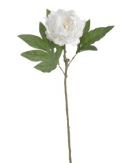 Piwonia real touch RT x1..58cm..216-12 pcs