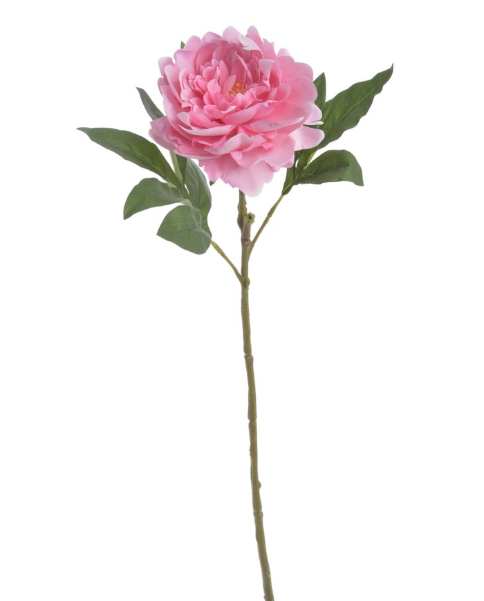 Piwonia real touch RT x1..58cm..216-12 pcs