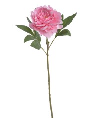 Piwonia real touch RT x1..58cm..216-12 pcs