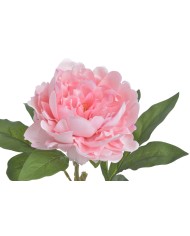 Piwonia real touch RT x1..58cm..216-12 pcs