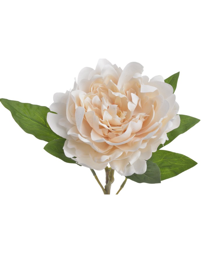 Piwonia real touch RT x1..58cm..216-12 pcs