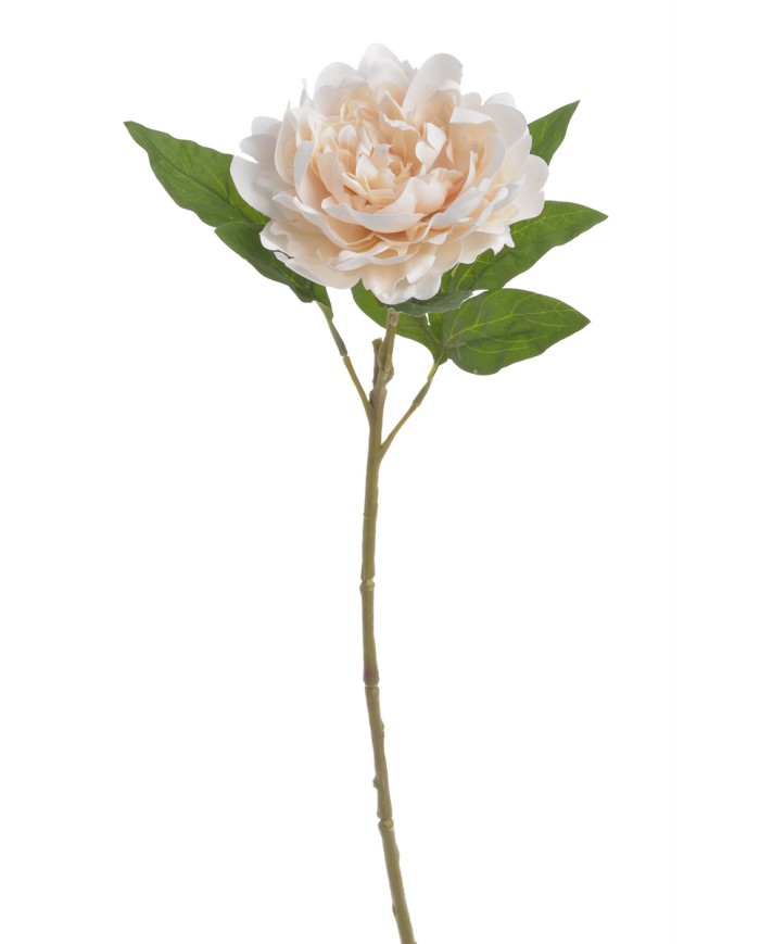 Piwonia real touch RT x1..58cm..216-12 pcs