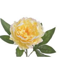 Piwonia real touch RT x1..58cm..216-12 pcs