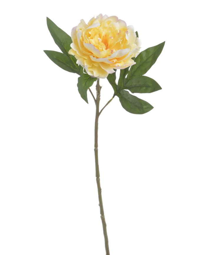 Piwonia real touch RT x1..58cm..216-12 pcs