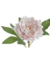 Piwonia real touch RT x1..58cm..216-12 pcs