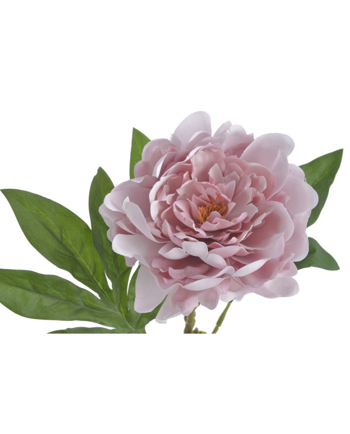 Piwonia real touch RT x1..58cm..216-12 pcs