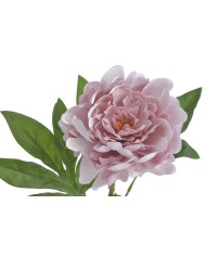 Piwonia real touch RT x1..58cm..216-12 pcs