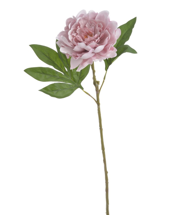 Piwonia real touch RT x1..58cm..216-12 pcs