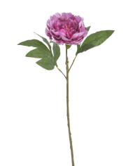 Piwonia real touch RT x1..58cm..216-12 pcs