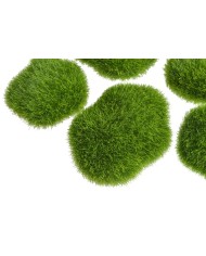 Polne kwiaty..57cm..288-24 pcs