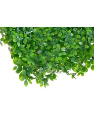 Mata 50x50....34-0 pcs......GREEN