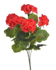 Kosmos..72cm..288-48 pcs