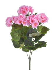 Pelargonia..52cm..60-12 pcs