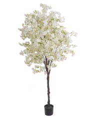 Kwitnąca wiśnia 235cm w doniczce....2-1 pcs......C01 PINK