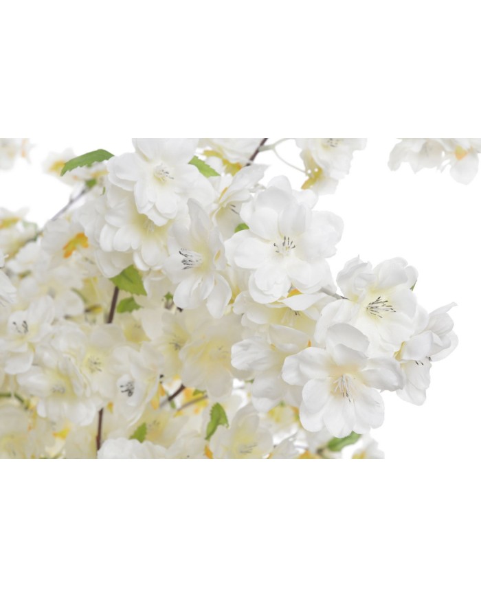 Kwitnąca wiśnia 235cm w doniczce....2-1 pcs......CREAM-WHITE