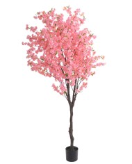 Kwitnąca wiśnia 235cm w doniczce....2-1 pcs......C01 PINK