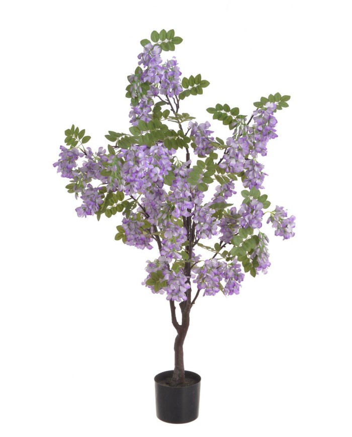 Wisteria w doniczce..122cm..2-0 pcs......G01 PURPLE