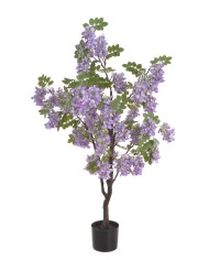 Wisteria w doniczce..122cm..2-0 pcs......A01 WHITE