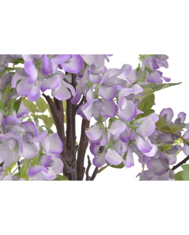Wisteria w doniczce..122cm..2-0 pcs......G01 PURPLE
