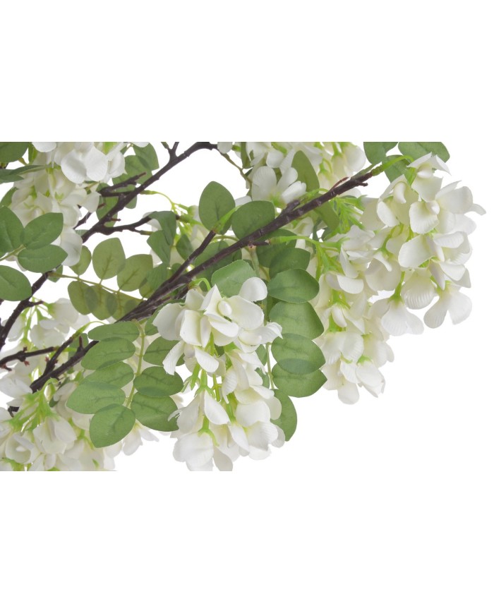 Wisteria w doniczce..122cm..2-0 pcs......A01 WHITE