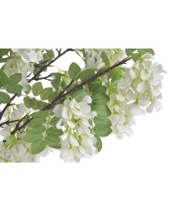 Wisteria w doniczce..122cm..2-0 pcs......A01 WHITE