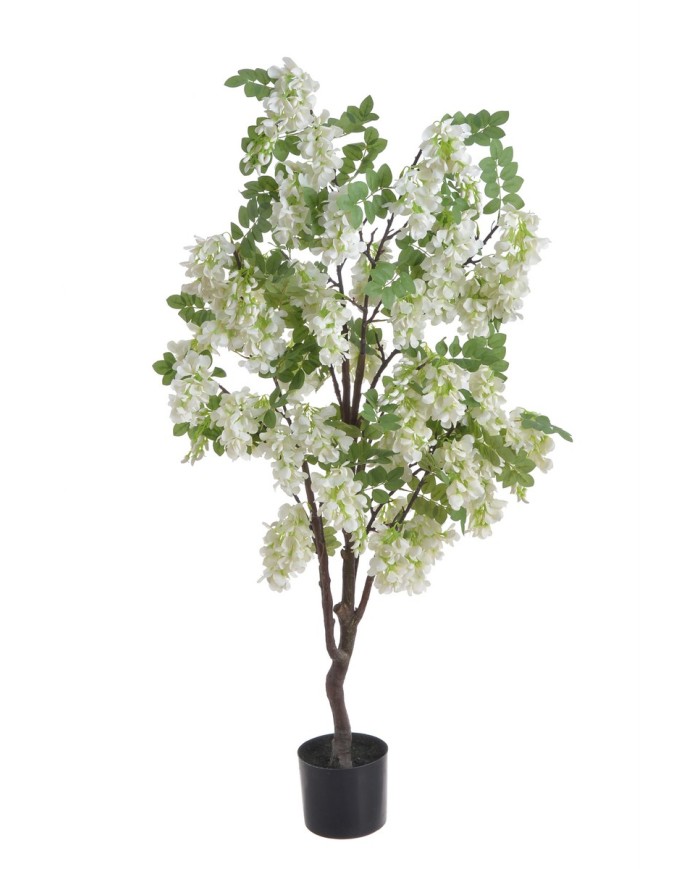 Wisteria w doniczce..122cm..2-0 pcs......A01 WHITE