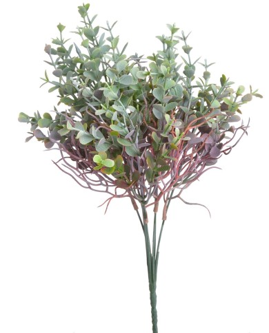 Eukaliptus..36cm..288-72 pcs