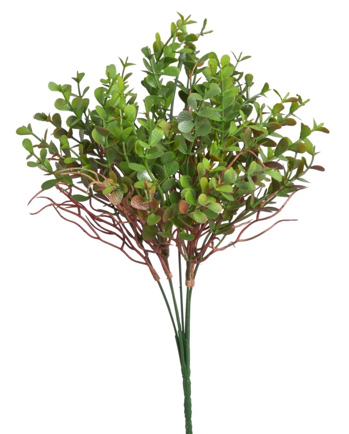 Eukaliptus..36cm..288-72 pcs