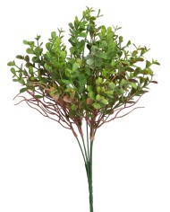 Eukaliptus..36cm..288-72 pcs