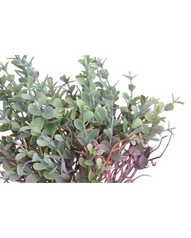 Eukaliptus..36cm..288-72 pcs