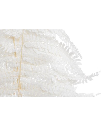 Liść paproci preparowany 5szt-pęcz - susz 50-70cm...WHITE