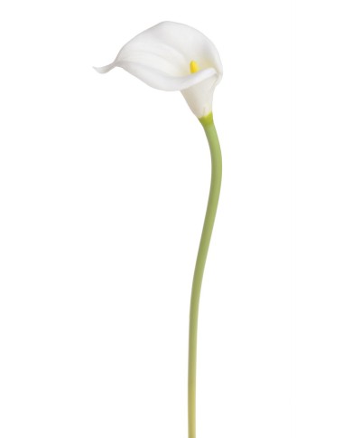 Kala x1 PIANKA..57cm..336-42 pcs