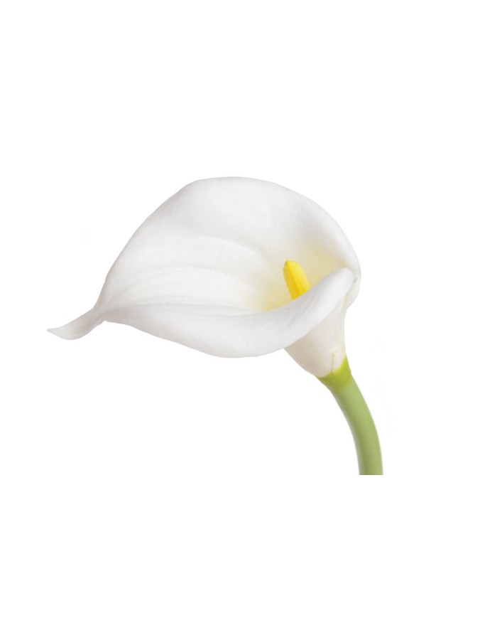 Kala x1 PIANKA..57cm..336-42 pcs